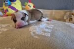 Mimi